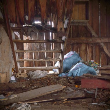 görüntü endüstriyel serisi