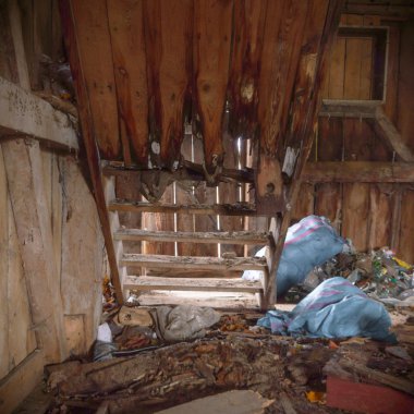 görüntü endüstriyel serisi