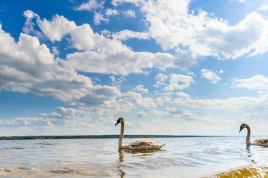 görüntü doğa serisi
