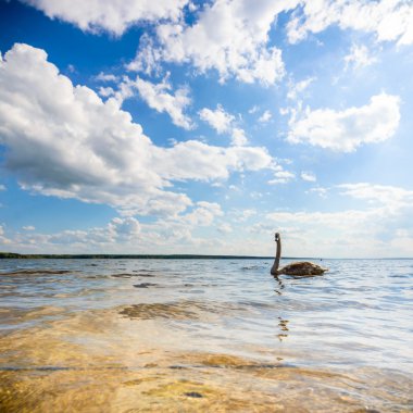 görüntü doğa serisi