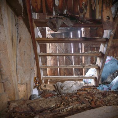 görüntü endüstriyel serisi