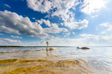 görüntü doğa serisi