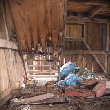 görüntü endüstriyel serisi