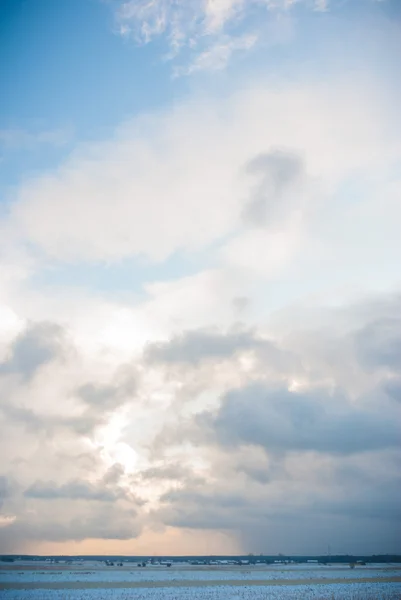 Immagine dalla serie natura — Foto Stock