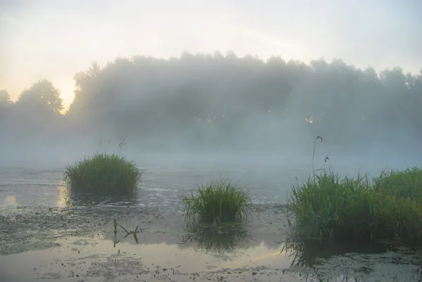 Imagem da série natureza — Fotografia de Stock