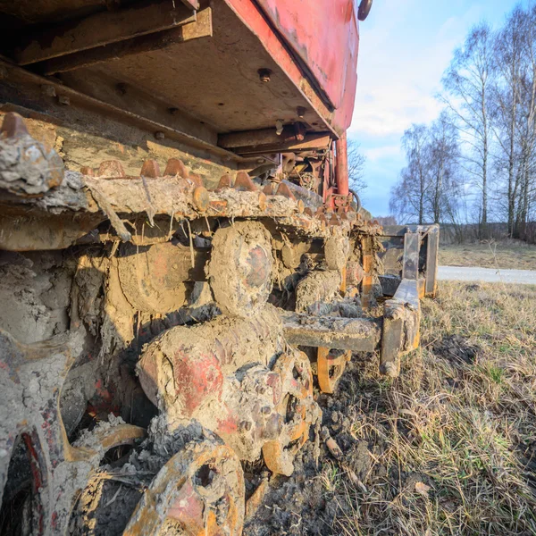 Beeld uit natuur-serie — Stockfoto