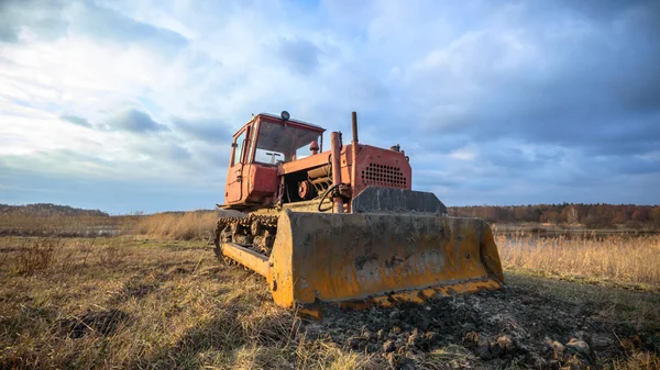 Bild från naturen-serien — Stockfoto