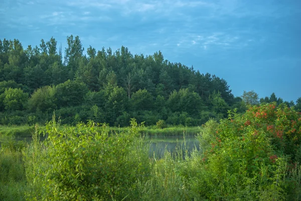 Beeld uit natuur-serie — Stockfoto