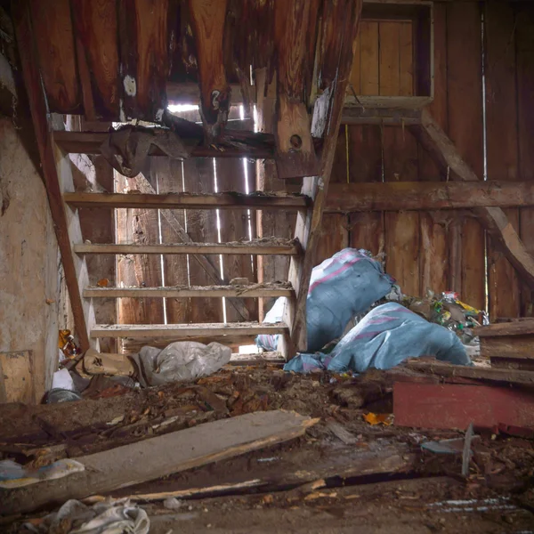 görüntü endüstriyel serisi