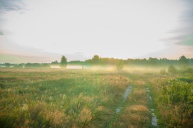 görüntü doğa serisi