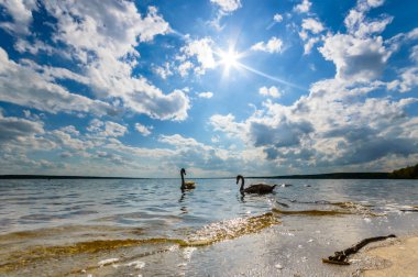 görüntü doğa serisi