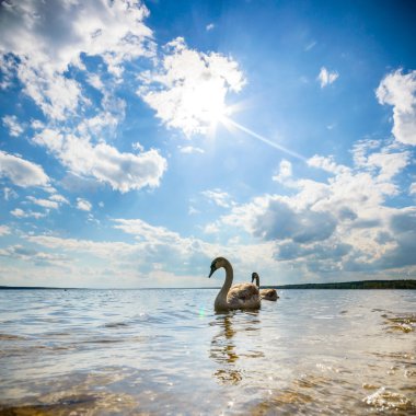 görüntü doğa serisi