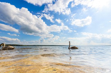 görüntü doğa serisi