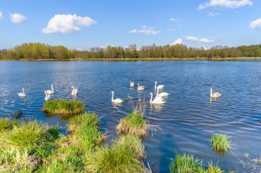 görüntü doğa serisi