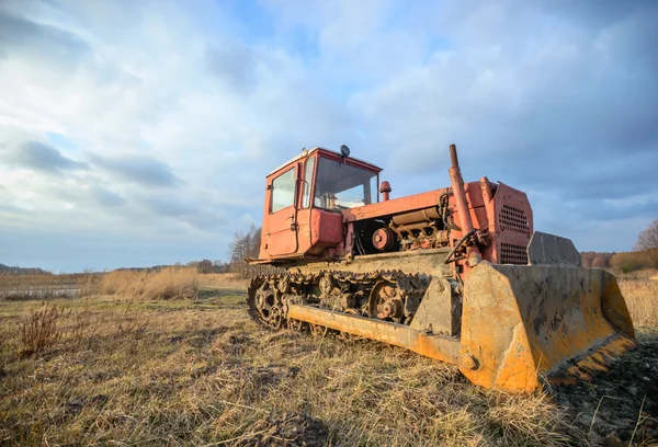 Bild från naturen-serien — Stockfoto