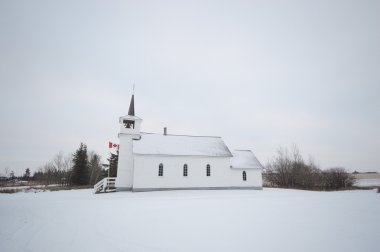 görüntü doğa serisi