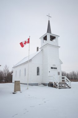 görüntü doğa serisi