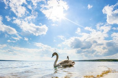 görüntü doğa serisi
