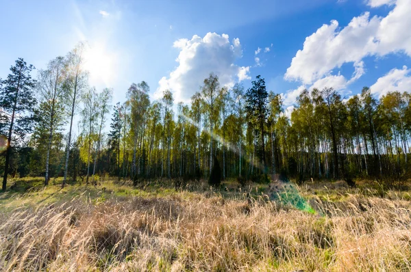 görüntü doğa serisi