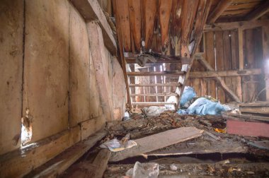 görüntü endüstriyel serisi