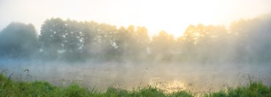 görüntü doğa serisi