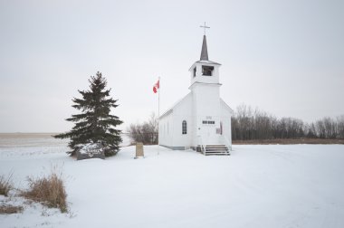 görüntü doğa serisi