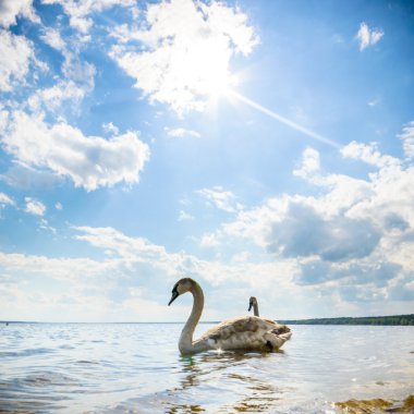 görüntü doğa serisi