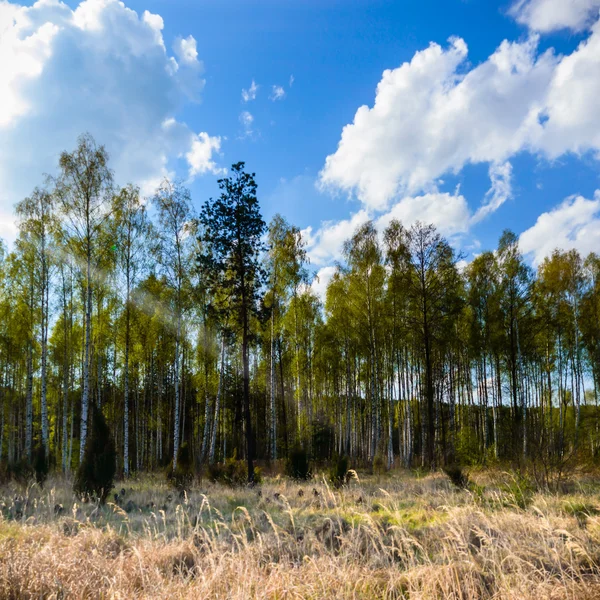 görüntü doğa serisi