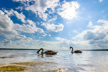 görüntü doğa serisi