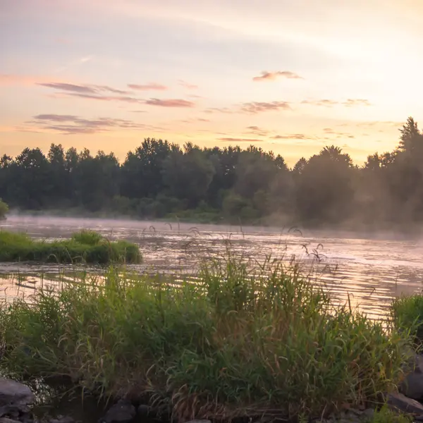 Obrázek ze série nature — Stock fotografie