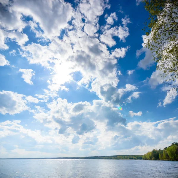 Immagine dalla serie natura — Foto Stock