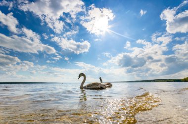 görüntü doğa serisi