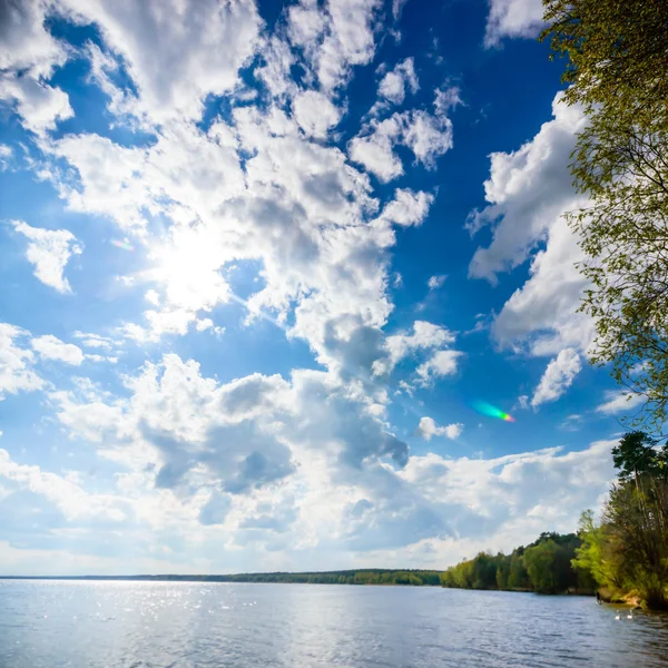 Bild från naturen-serien — Stockfoto