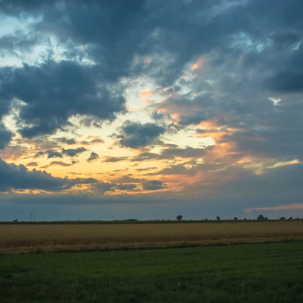 Bilde fra naturserien – stockfoto