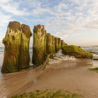 görüntü doğa serisi