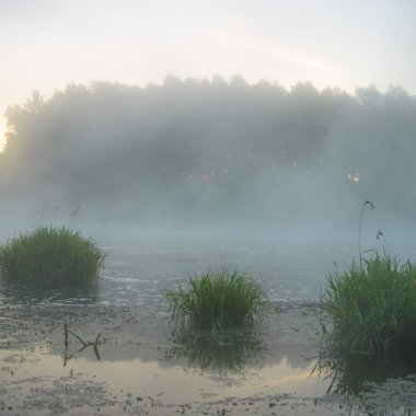 görüntü doğa serisi