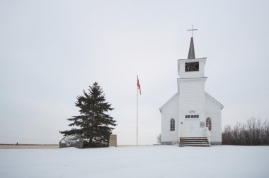 görüntü doğa serisi