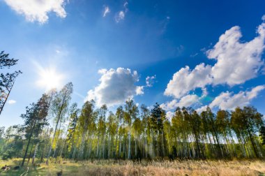 görüntü doğa serisi