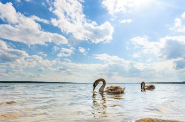 görüntü doğa serisi