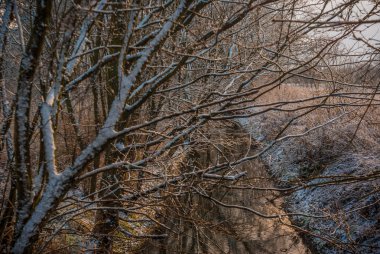 görüntü doğa serisi