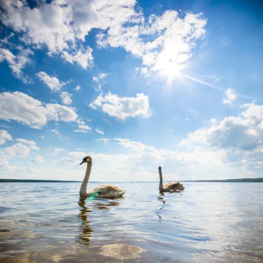 görüntü doğa serisi