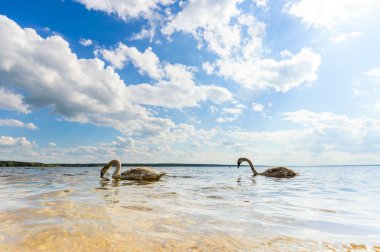 görüntü doğa serisi