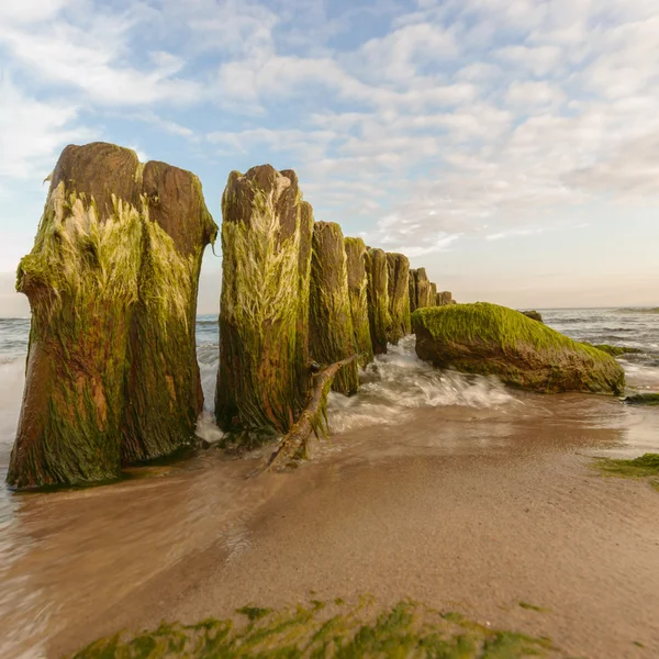 görüntü doğa serisi
