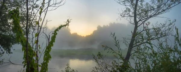 görüntü doğa serisi