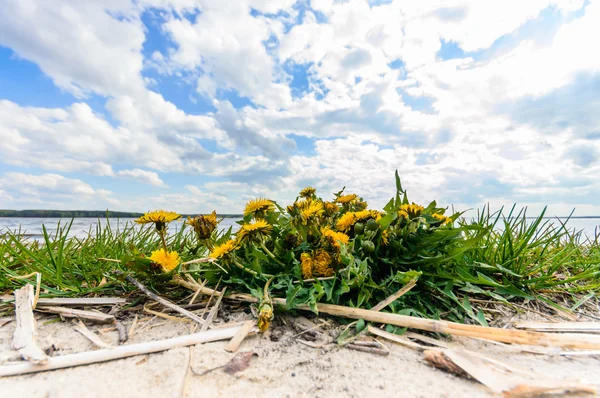 görüntü doğa serisi