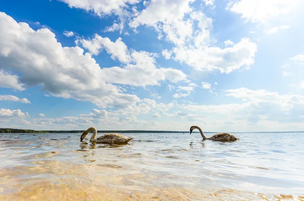 görüntü doğa serisi
