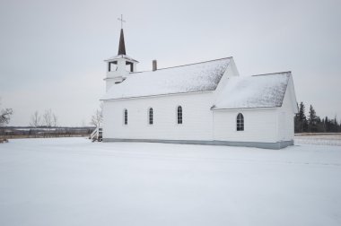 görüntü doğa serisi