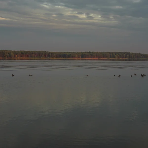 Obrázek ze série nature — Stock fotografie