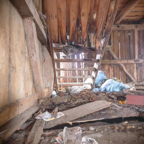 görüntü endüstriyel serisi