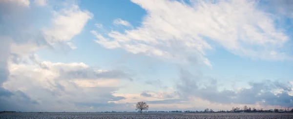 Bild från naturen-serien — Stockfoto